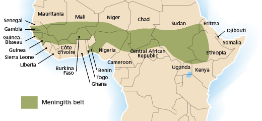 The African meningitis belt, including parts of the following countries: Sengal, Gambia, Guinea-Bisseau, Guinea, Mauritania, Mali, Cote d'Ivoire, Burkina Faso, Benin, Nigeria, Niger, Central African Republic, Chad, Sudan, Uganda, Kenya, Eritrea, and Ethiopia.